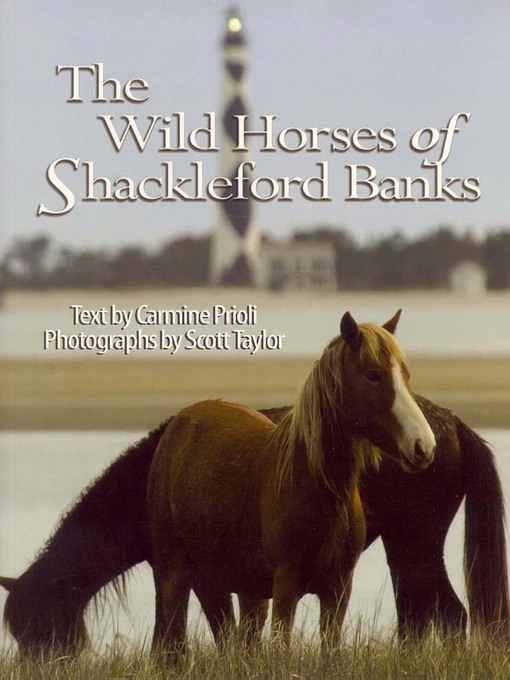 Title details for Wild Horses of Shackleford Banks by Carmine Prioli - Available